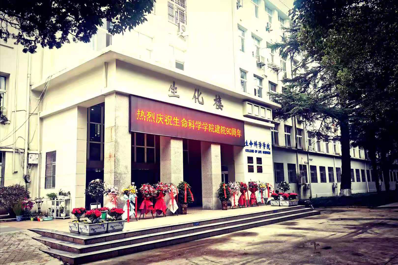 皇冠新款入口大楼