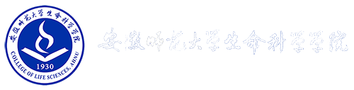 皇冠新款入口